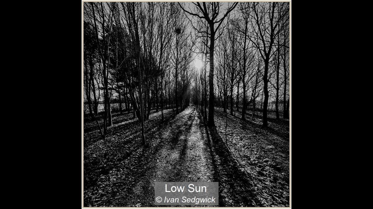 Low Sun Ivan Sedgwick 19 points